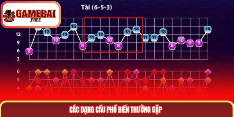 Các dạng cầu phổ biến thường gặp