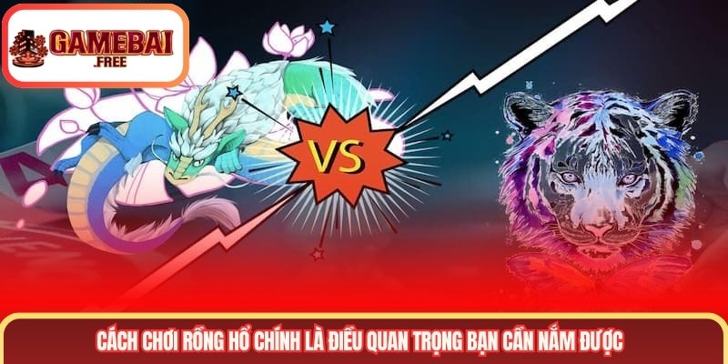 Cách chơi rồng hổ chính là điều quan trọng bạn cần nắm được