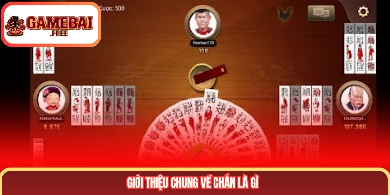 Giới thiệu chung về chắn là gì