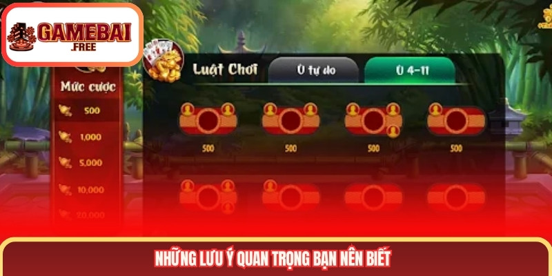 Những lưu ý quan trọng bạn nên biết