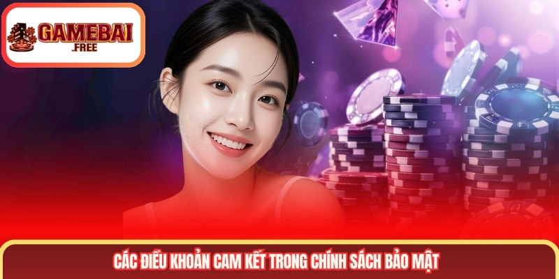 Các điều khoản cam kết trong chính sách bảo mật