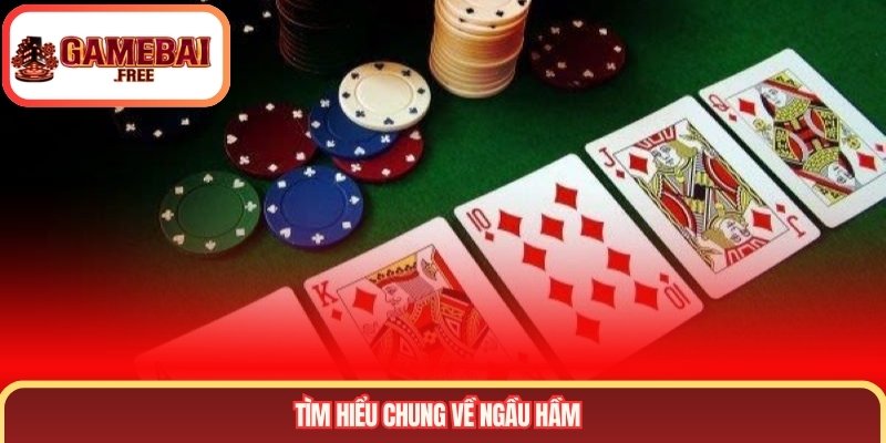 Tìm hiểu chung về ngầu hầm